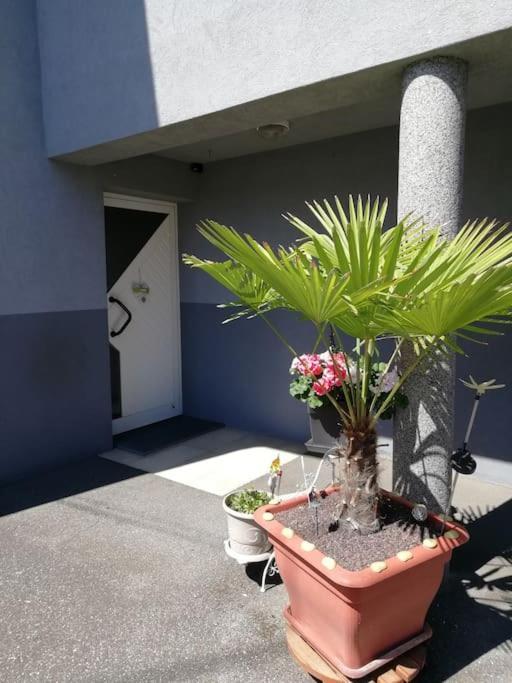 Appartement Agreable Haguenau Exterior photo